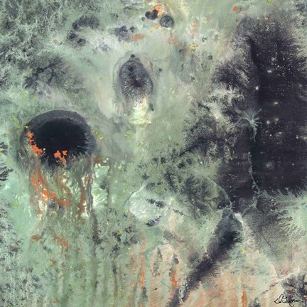 Framed Coral &amp; Jelly Fish II Print