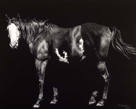 Framed Bald-Faced Broodmare Print