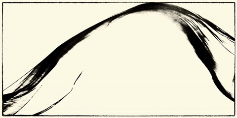 Framed Silk Ink II Print