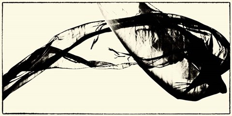 Framed Silk Ink V Print