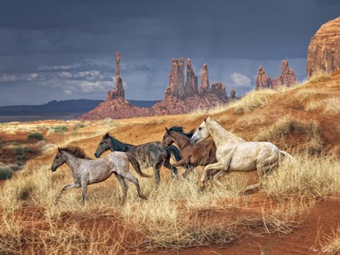 Framed Monumental Run Print