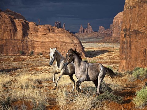 Framed Best Friends Print