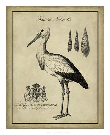 Framed Antiquarian Stork Print