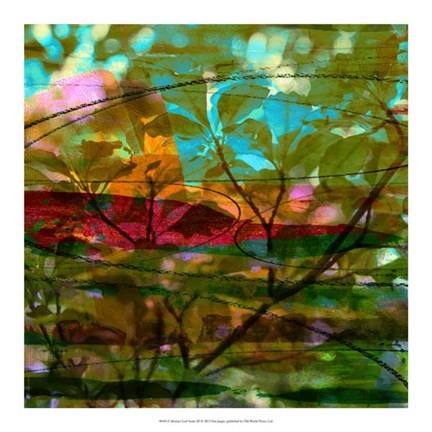 Framed Abstract Leaf Study III Print