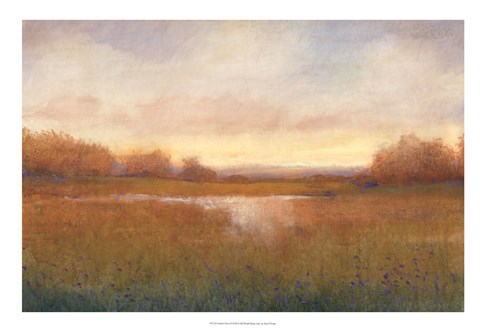 Framed Golden Hour II Print