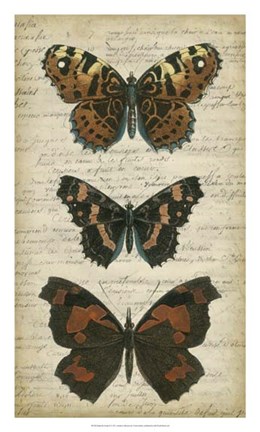Framed Butterfly Script II Print