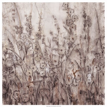 Framed Shadows I Print