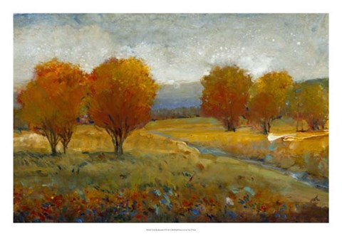 Framed Vivid Brushstrokes II Print