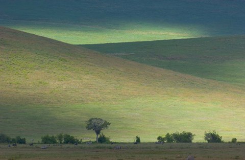 Framed Panoramic view of hill, Ngorongoro Crater, Arusha Region, Tanzania Print