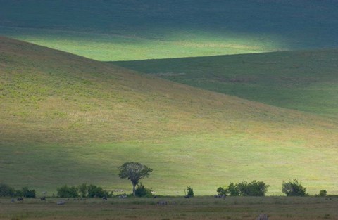 Framed Panoramic view of hill, Ngorongoro Crater, Arusha Region, Tanzania Print