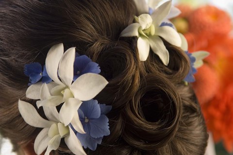 Framed Close-up of flowers in a bride's hair, Bainbridge Island, Washington State, USA Print
