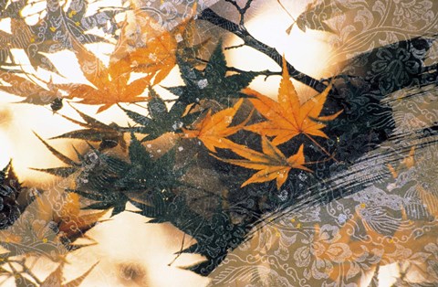 Framed Collage of green and pale orange leaves, white paper flower and abstract rocks Print