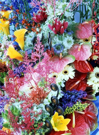 Framed Collage of multi colored flowers Print