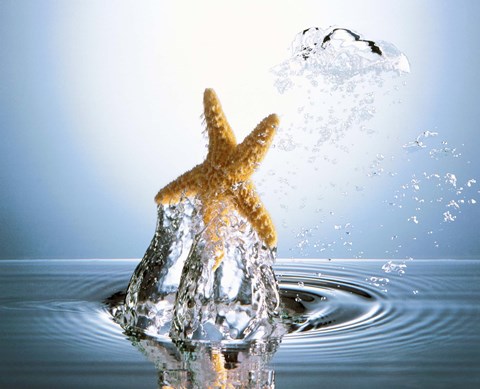 Framed Starfish rising on water bubble toward bright light Print