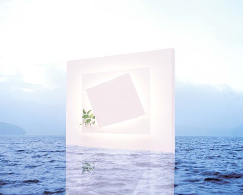 Framed White frame with small vine floating on blue water with reflection Print