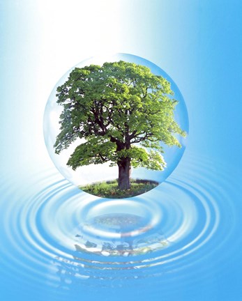 Framed clear sphere with a full tree floats over a large water ring with reflection Print