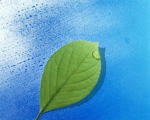 Framed Green leaf floating above streaked water drops Print