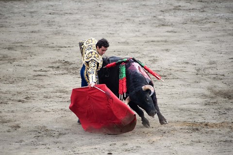 Framed Matador and Bull Print