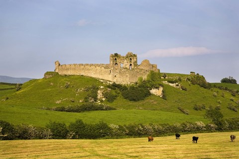 Framed Ruined walls of Roche Castle, County Louth, Ireland Print