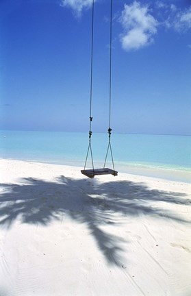 Framed Swing on the beach above palm tree shadow Print