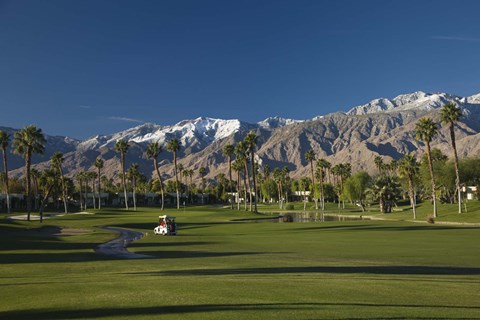 Framed Palm trees in a golf course, Desert Princess Country Club, Palm Springs, Riverside County, California, USA Print