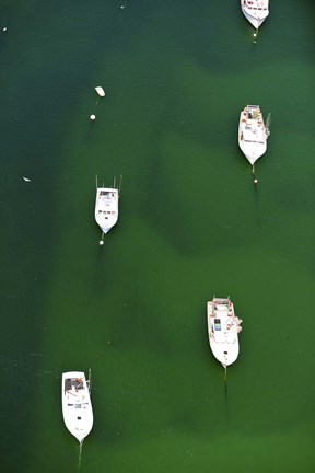 Framed Aerial view of boats in the sea, Cape Cod, Barnstable County, Massachusetts, USA Print