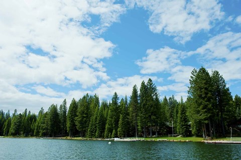 Framed Trees along bank of Lake Almanor, California, USA Print
