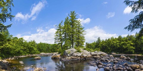 Framed Trees and rocks, Moose River, New York State Print