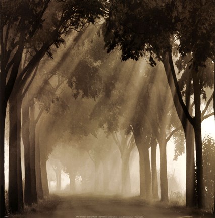 Framed Misty Grove Print