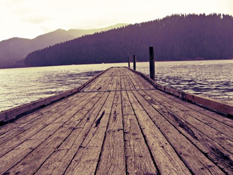 Framed Chinook Print