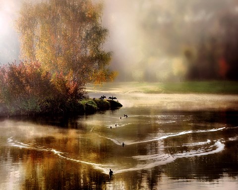 Framed Morning Solace Print