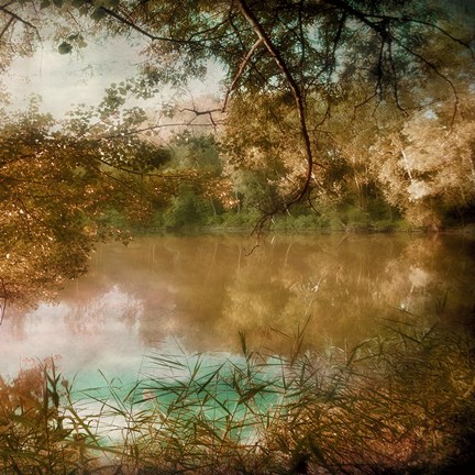 Framed Land of Fantasy Print