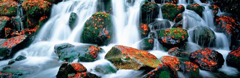 Framed Kibune River fall colors Kyoto Sagano Japan Print