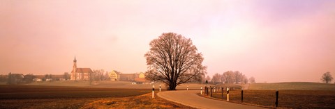 Framed Tree &amp; road Lansberg vicinity Germany Print