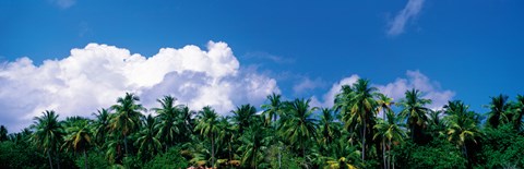 Framed Maldives with Clouds Print