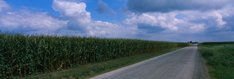 Framed Road along corn fields, Christian County, Illinois, USA Print