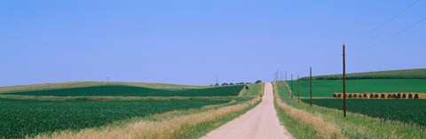 Framed Road along fields, Minnesota, USA Print
