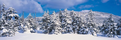 Framed Winter in Chino Nagano Japan Print