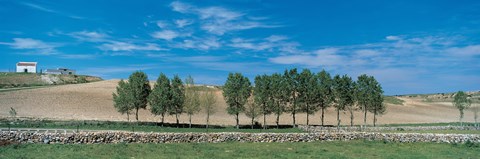 Framed Segovia Spain Print