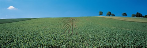 Framed France, Alsace Print