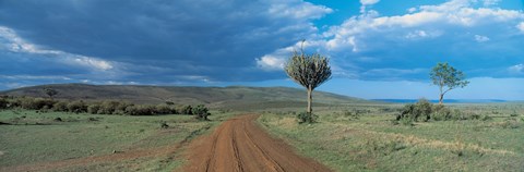 Framed Masai Mara Game Reserve Kenya Print