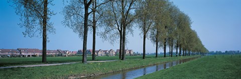 Framed Aalsmeer Holland Netherlands Print