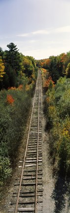 Framed Railroad tracks along Route 1A between Ellsworth and Bangor, Maine, USA Print