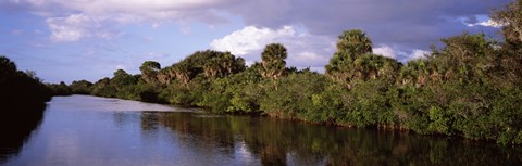 Framed Trees along a channel, Venice, Sarasota County, Florida Print