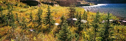 Framed High angle view of a lake, Iceberg Lake, US Glacier National Park, Montana, USA Print