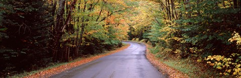 Framed Road passing through a forest, Green Bridge Road, Adirondack Mountains, Thendara, Herkimer County, New York State, USA Print