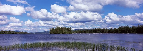 Framed Trees at the lakeside, Raquette Lake, Adirondack Mountains, New York State, USA Print