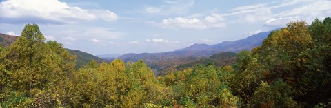 Framed View from River Road, Great Smoky Mountains National Park, North Carolina, Tennessee, USA Print