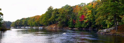 Framed Trees at the Riverside, Musquash River, Muskoka, Ontario, Canada Print