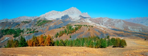 Framed Champs pass in autumn, French Riviera, Provence-Alpes-Cote d&#39;Azur, France Print